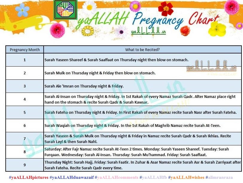 Pregnancy Month Chart